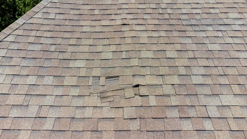 Asphalt Roof Inspection in South Hackensack, NJ