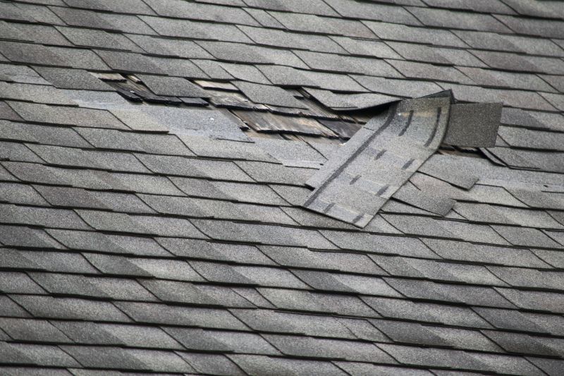 Asphalt Roof Leak Repair in Long Island City, NY