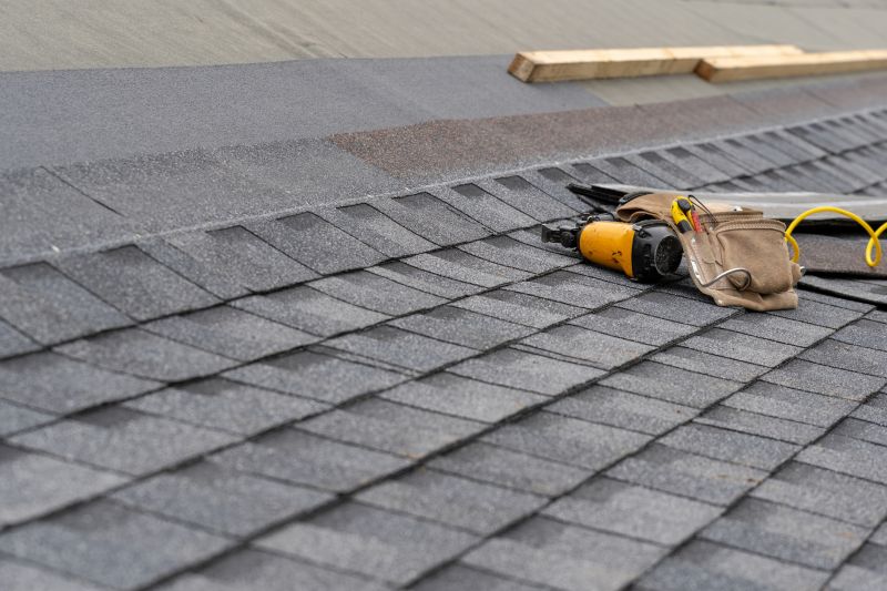Asphalt Roof Repair in Alpine, NJ