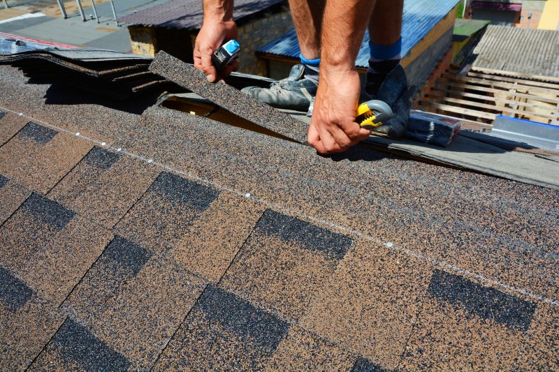 Asphalt Roof Repair in Fort Lee, NJ
