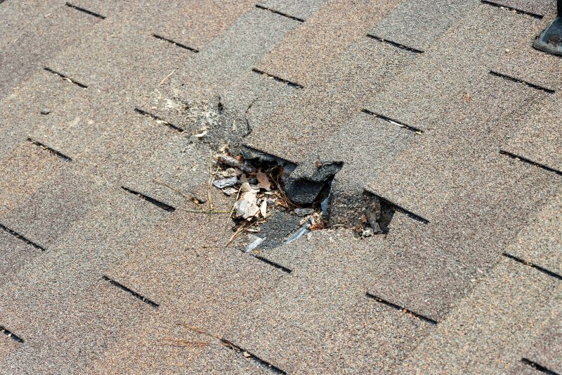 Damaged Roof Replacement in Clifton, NJ
