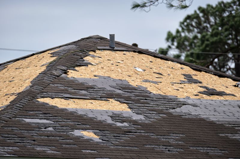 Roof Damage Inspection in South Richmond Hill, NY